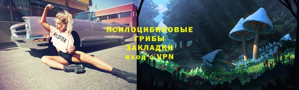 прущая мука Арсеньев